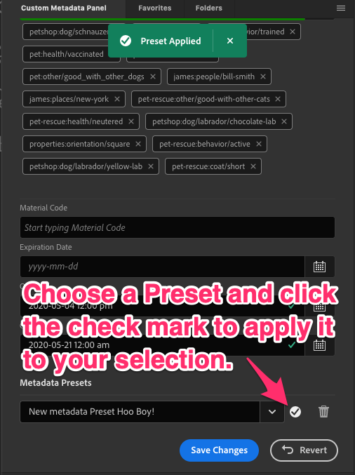 Apply a Metadata Preset