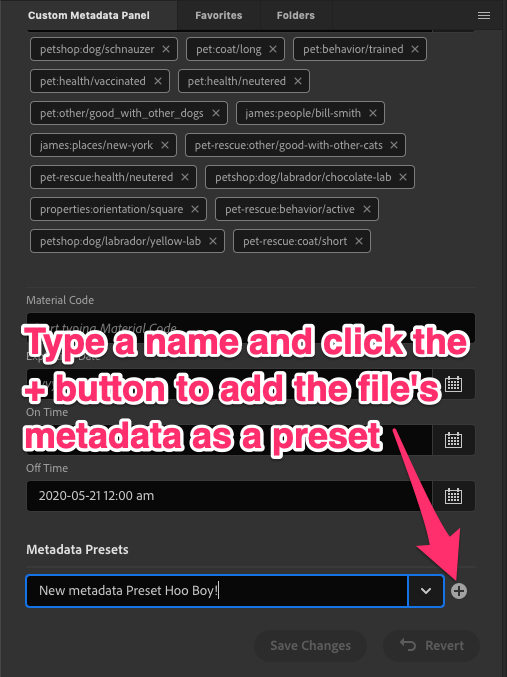 New Metadata Preset